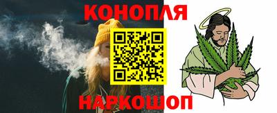 индика Лесосибирск
