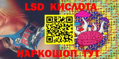 индика Лесосибирск