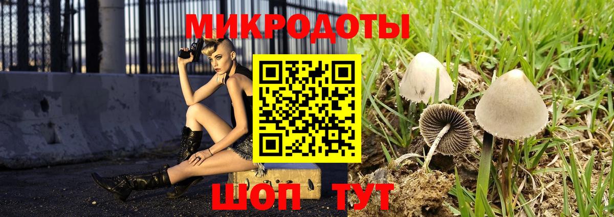 Галлюциногенные грибы ЛСД  Вход с VPN  Ставрополь 
